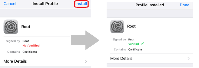 a screenshot of iOS profile installation